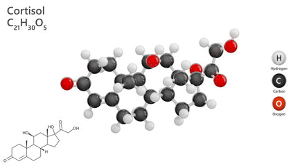 Molecule: Cortisol. Molecular structure. Formula: C21H30O5. Chemical model: Ball and stick. Stress hormone. White background. 3D illustration.