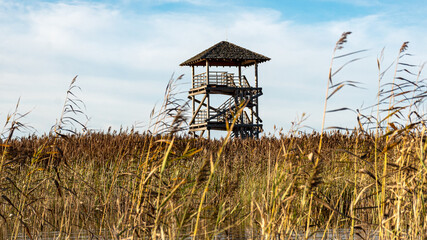 Fototapeta premium landscape with a birdwatching tower, a unique cultural landscape consisting of overgrown and flooded peat fields, bog ponds, bird habitat