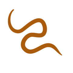 Parasite Worms intestinal