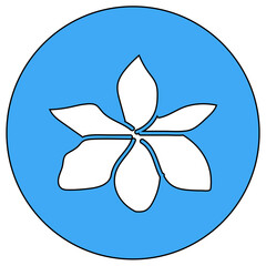 Fototapeta premium flower
