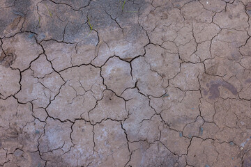 Cracked dry earth during drought