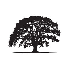 black tree silhouettes, including oak, pine, and leafless branches
