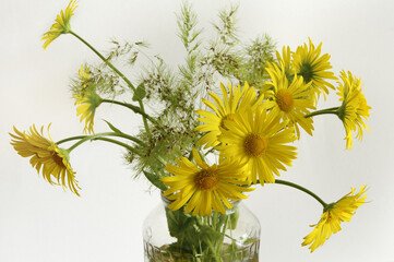 Yellow daisies. Beautiful yellow daisies on a white background. Bouquet of yellow daisies in a glass jar. Close-up. Selective focus.