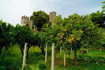 Policastro Bussentino, ancient city walls, Salerno, Campania, Italy