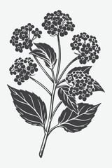 Lantana Branch with Flowers Silhouette Vector Illustration in Simple Art Style for Design and Decoration Purposes