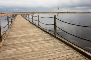 Obraz premium Floating boardwalk in Horicon National Wildlife Refuge, Wisconsin in early spring, allowing visitors to walk over the water and through the marsh cattails