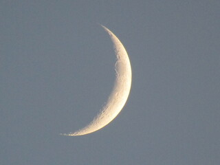 Crescent moon in the sky © AnaMaria