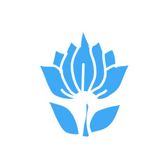 Obraz premium flower