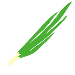 Green spring onion leaf