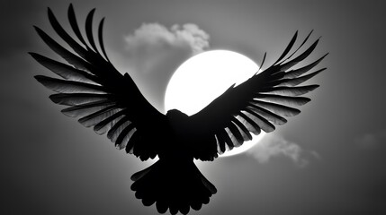 Moonshadow: A raven&rsquo;s wingtip brushing the moon&rsquo;s edge. The gradation from black to silver creates drama. 