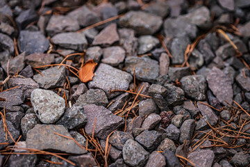 Texture of rocks in the garden