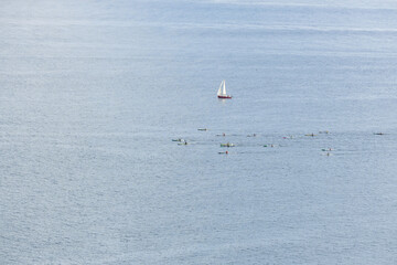 Naklejka premium Kayak boats in the sea in Madeira island, Portugal.