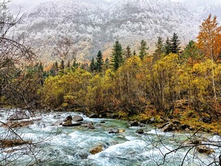 Oto&ntilde;o con nieve