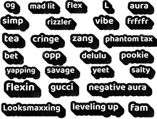 Obraz premium gen z alpha slang bold typography