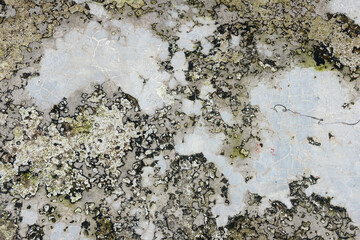 texture of floor