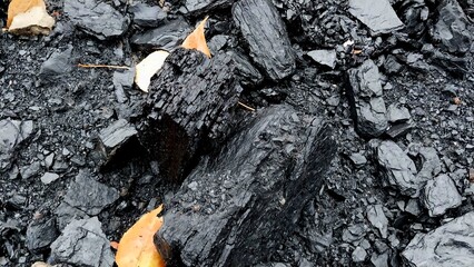 a close-up view of a pile of coal. The coal pieces are dark black, with a rough and jagged texture. Among the coal, there are a few small, dry leaves that are light brown and yellow in color