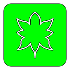 Obraz premium flower