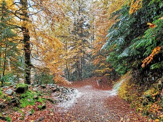 Nieve en el otoño 
