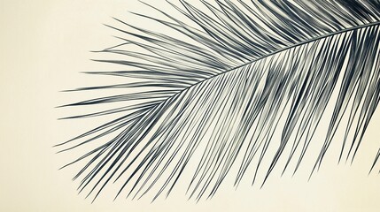 Obraz premium Detailed Close-Up Drawing of a Palm Frond with Arching Leaves