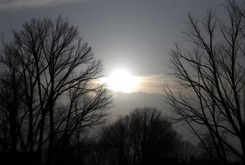 Altostratus translucidus (As tra) Thin altostratus allowing diff