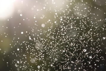 Diamond Dust Fine ice crystals in the atmosphere create a sparkl