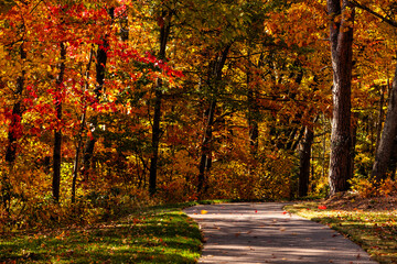 Paved bike path through the northwoods of Wisconsin in mid-October, near Boulder Junction, Wisconsin
