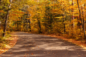 Obraz premium The Crystal-Muskellunge campground road winds through the colorful northwoods in mid-October near Boulder Junction, Wisconsin