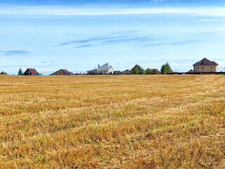 Fototapeta premium Expansive golden fields under a clear blue sky with distant houses in a peaceful rural setting