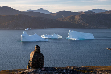 View of montains and icebergs from Uunartoq island (South Greenland)