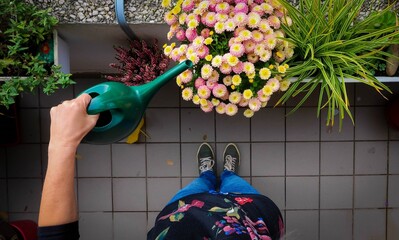 Blumen gießen auf dem herbstlichen Balkon