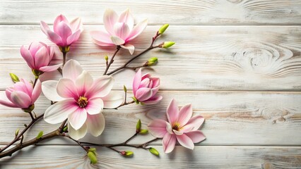 Pink Magnolia Flowers on Wooden Surface