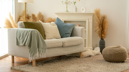 cozy sofa with pillow in living room.