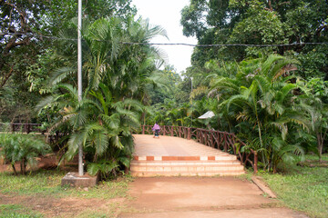 tranquil parkland with pathway through the greenery