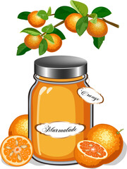 Illustration with orange marmalade.Colored vector illustration with oranges and marmalade in a jar.