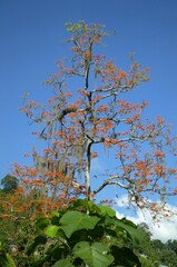 Trujillo sunsets.
A very mountainous state but on some occasions it gives us fantastic sunsets!