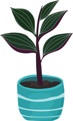 Vector illustration of decorative house plants. White background.