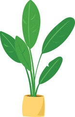Vector illustration of decorative house plants. White background.