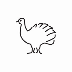 turkey bird icon sign vector