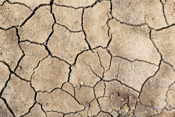 Cracked earth surface during a dry season in a rural landscape