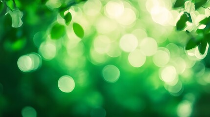 Obraz premium green bokeh background
