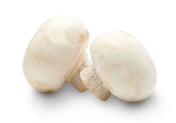 Two champignon on a white background
