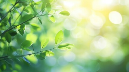 Naklejka premium Soft green blurred background with bokeh highlights ideal for serene outdoor design projects showcasing gentle light effects and calming nature visuals for eco conscious themes