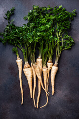 Organic Parsley root with leaves, harvest time