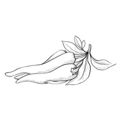 chili pepper pods. A pile of peppers lies on the table