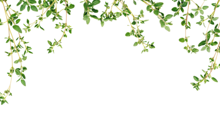 Green leaves border design featuring a floral pattern with branches and butterflies, perfect for spring and summer decorations