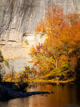 Fall foliage color in Arkansas. Bluff, river creek, afternoon sun and golden color trees dancing at Buffalo national river area.