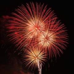Obraz premium fireworks in the sky