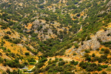 Mountain rock slope covered with yellow grass, green bushes and trees. Mountain background,...