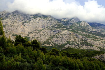 Fog in mountains of Croatia, Dinaric Alps. Beautiful foggy cloudy Croatian mountain landscape, rocks and pine forest