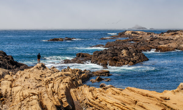 Scenic Coastal View at Point Lobos, California